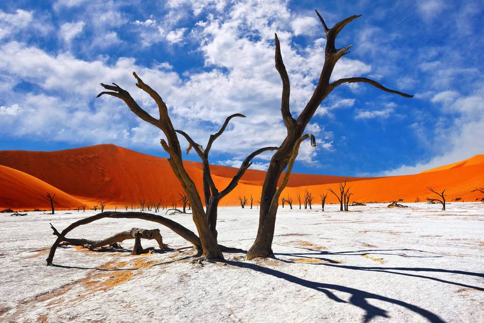 Namib