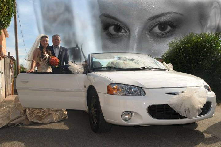 Viviana Guspini Sposa