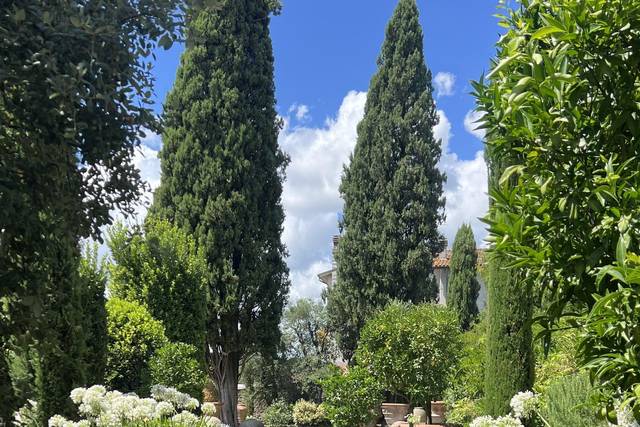 L’agrumeto