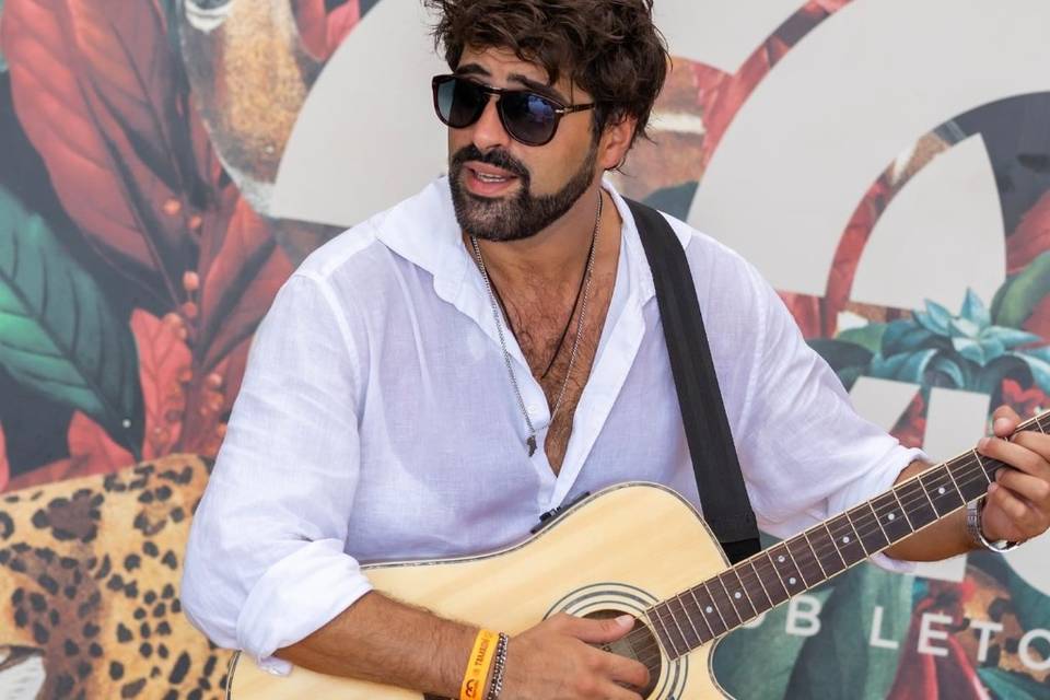 Guitar