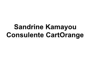 Sandrine Kamayou - Consulente CartOrange logo