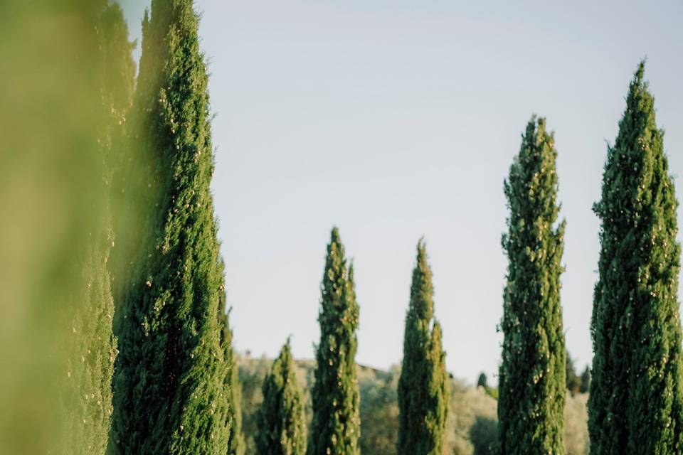 Podere Cornacchino