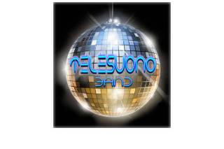 Telesuono Band