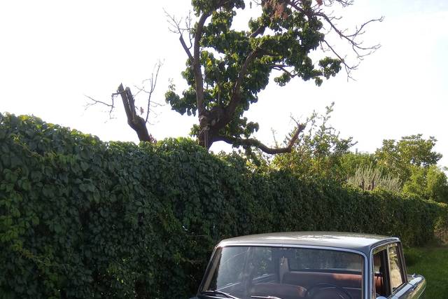 LANCIA FULVIA GT