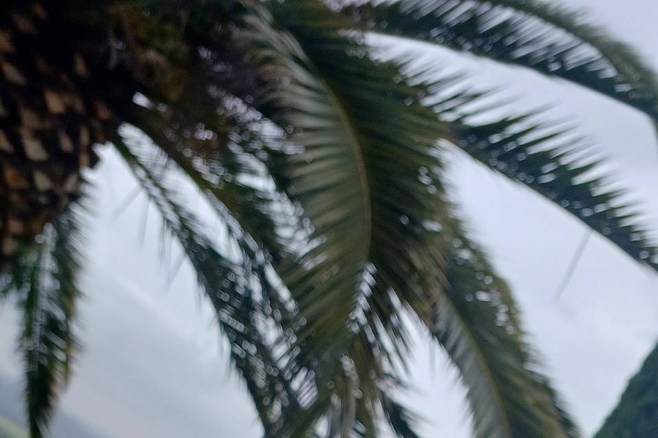 Raining