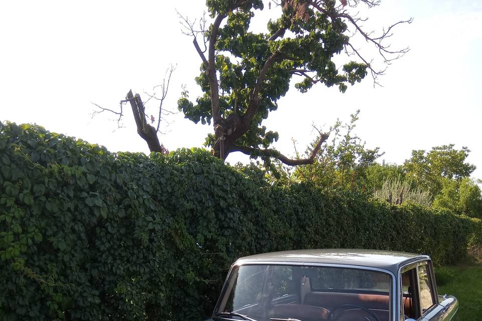 LANCIA FULVIA GT