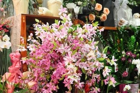 Armonie di fiori rosa