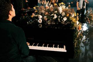 Daria e i suoi Musici