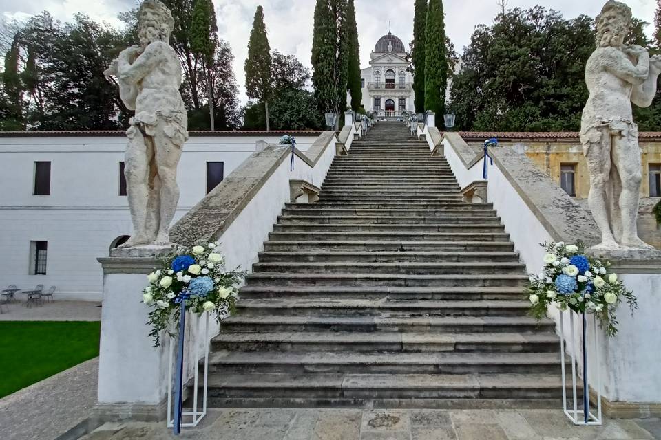 La Viola... e il Pensiero