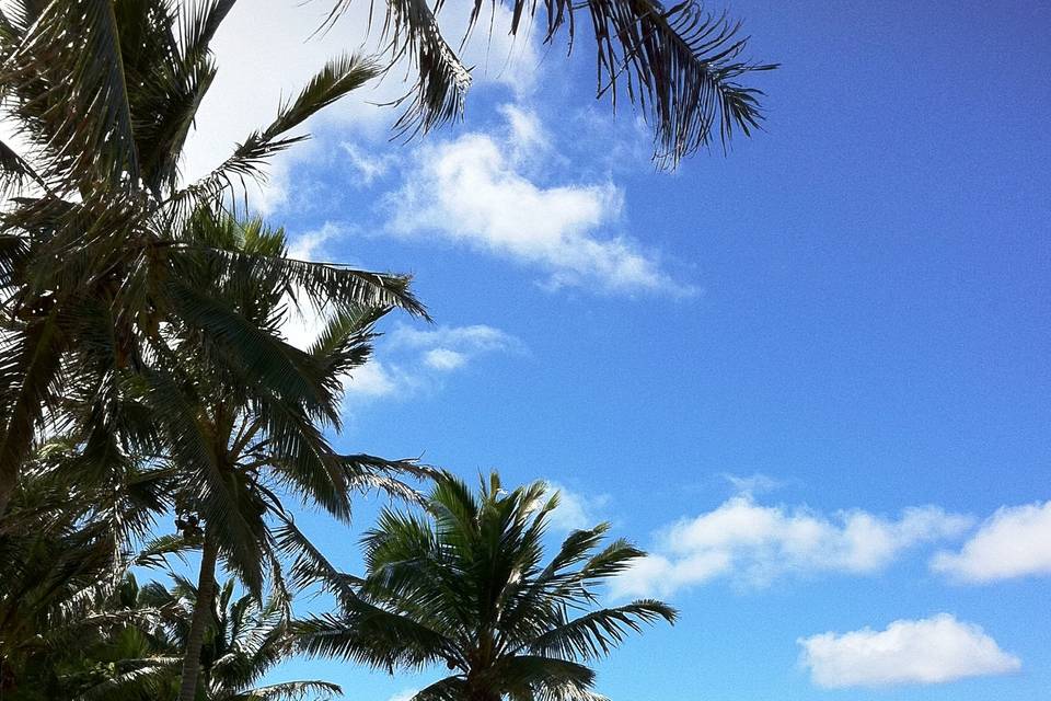 Rarotonga - Isole Cook