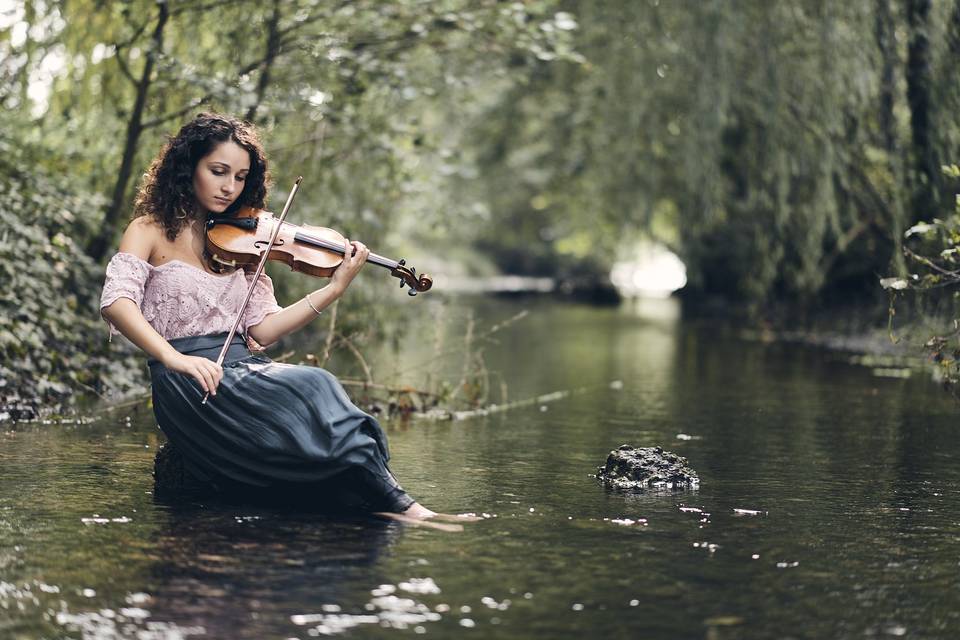 Violino