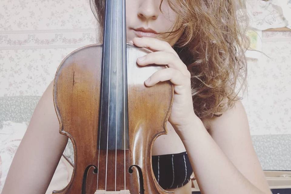 Violin