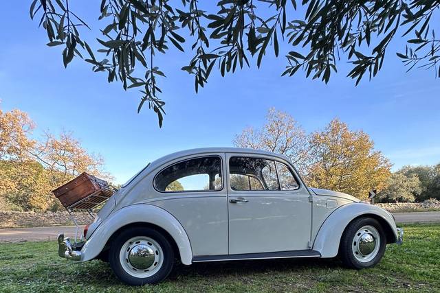 Wedding Vintage Car