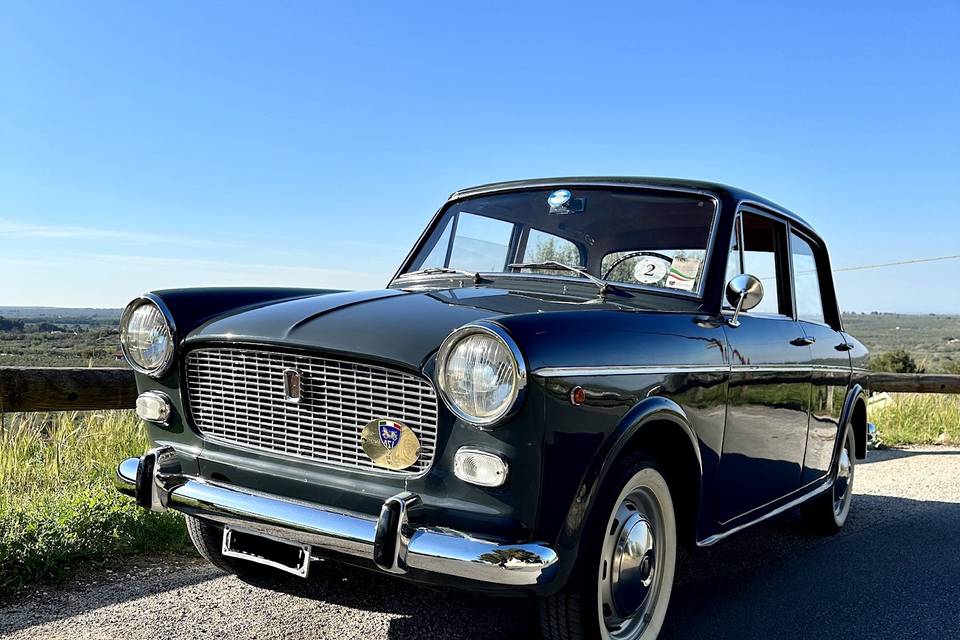 Fiat 1100d