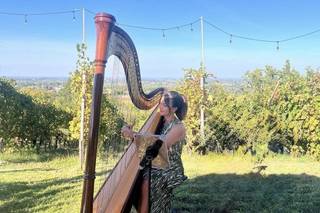 Arpa per Eventi