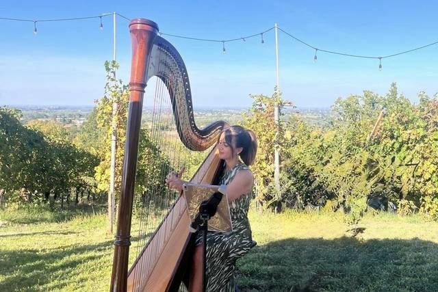 Arpa per Eventi