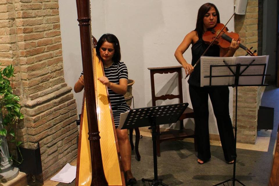 Arpa E Violino. Paola Coppola