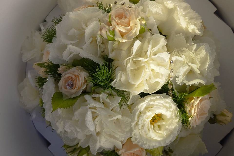 Matrimonio