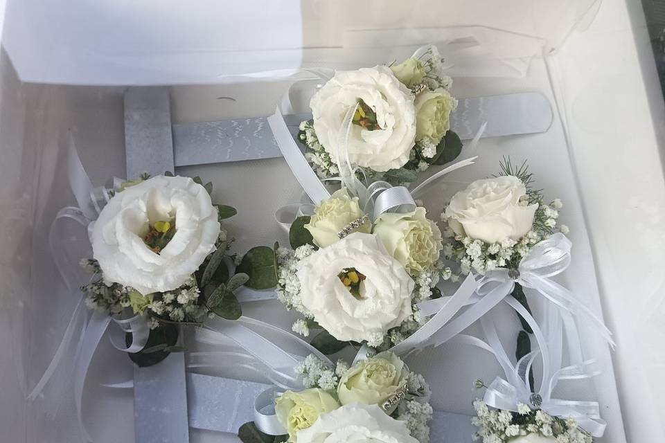 Matrimonio