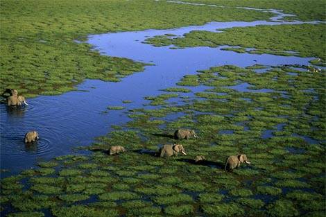 Kenya e Zanzibar