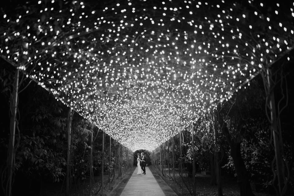 Fairy lights
