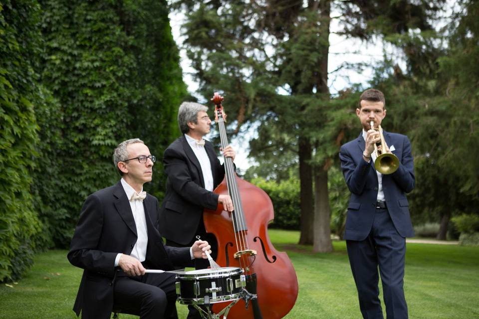 Musica cerimonia