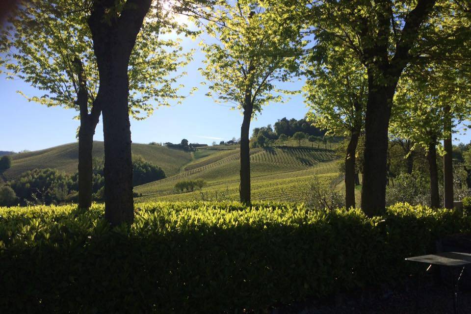 Vista dal cortile