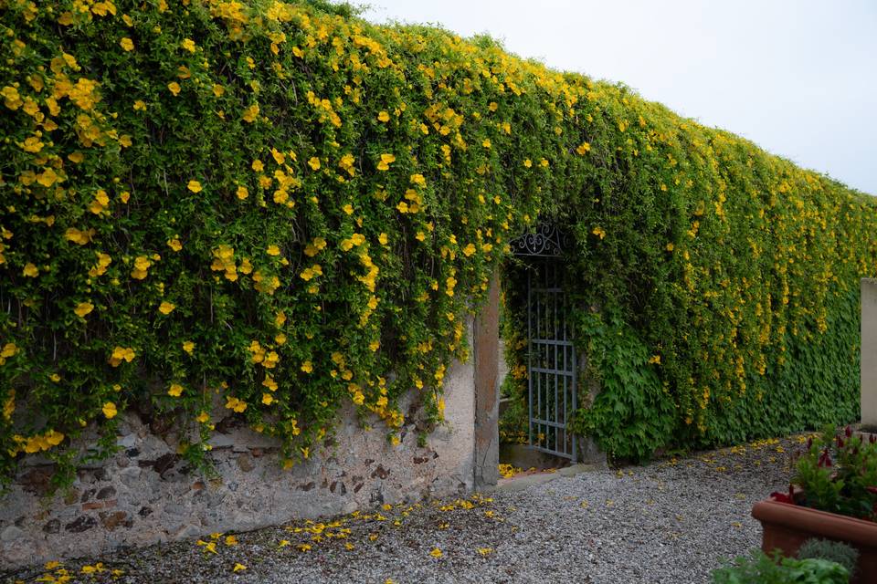 Tenuta la Chiusa