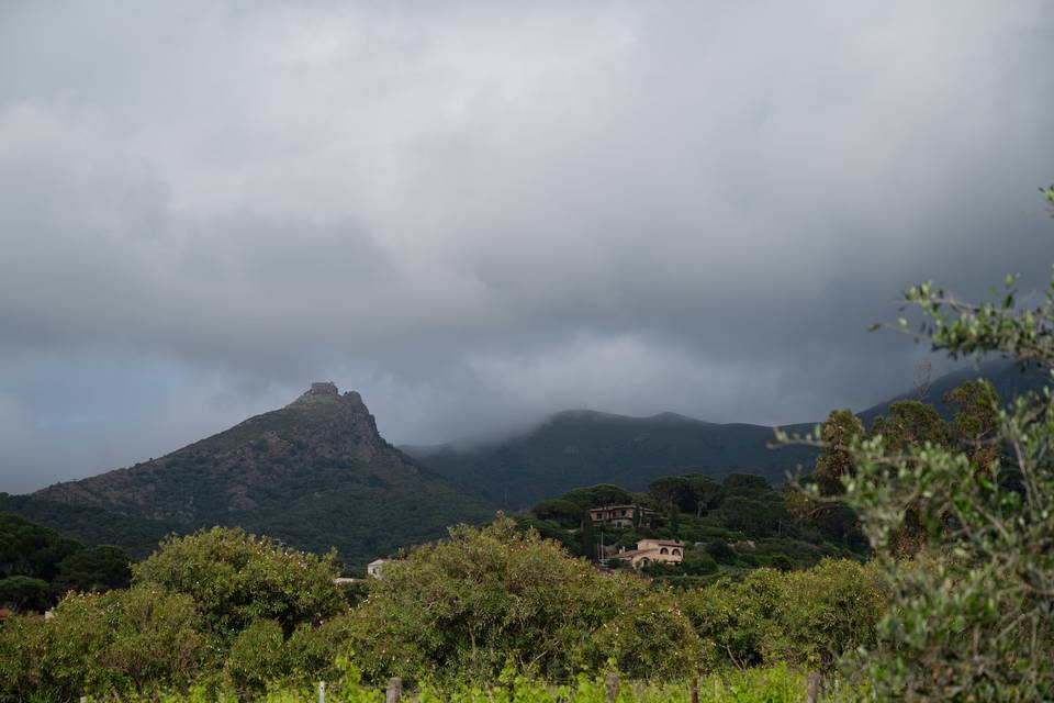 Tenuta la Chiusa