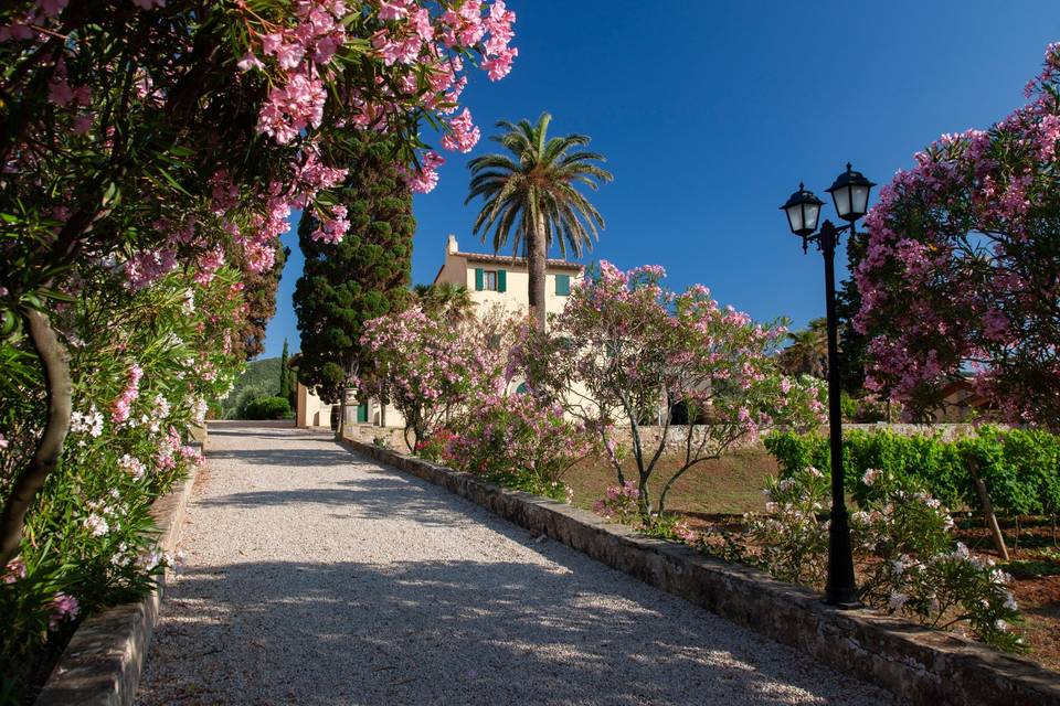 Tenuta la Chiusa