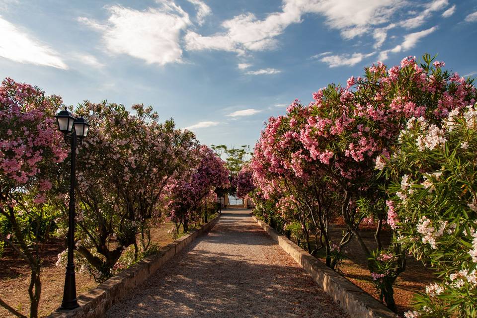 Tenuta la Chiusa