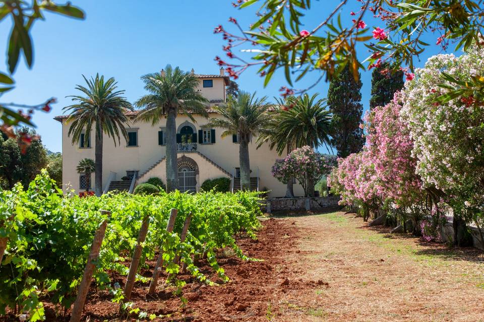 Tenuta la Chiusa