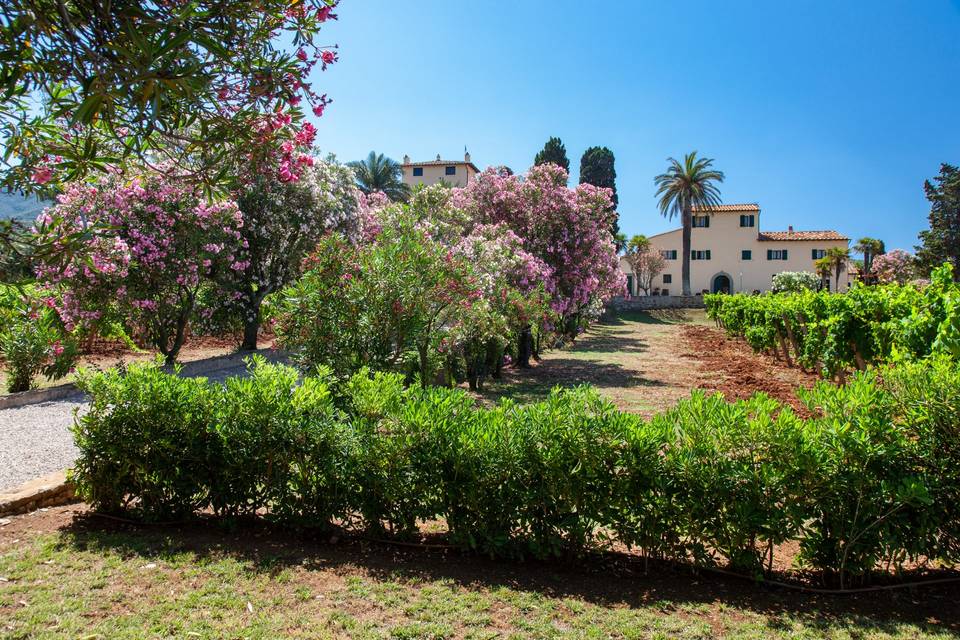 Tenuta la Chiusa
