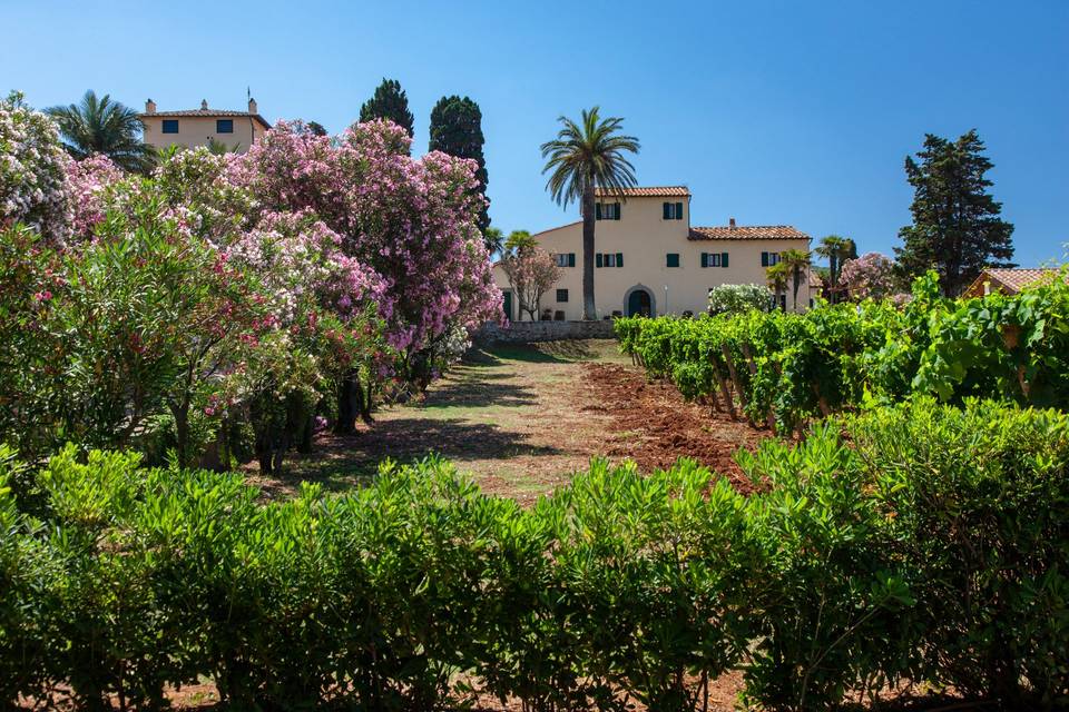 Tenuta la Chiusa