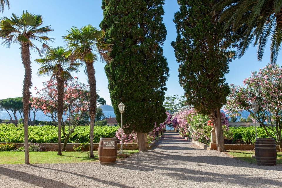 Tenuta la Chiusa