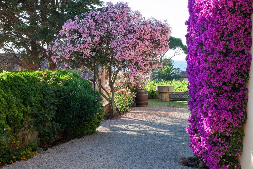 Tenuta la Chiusa