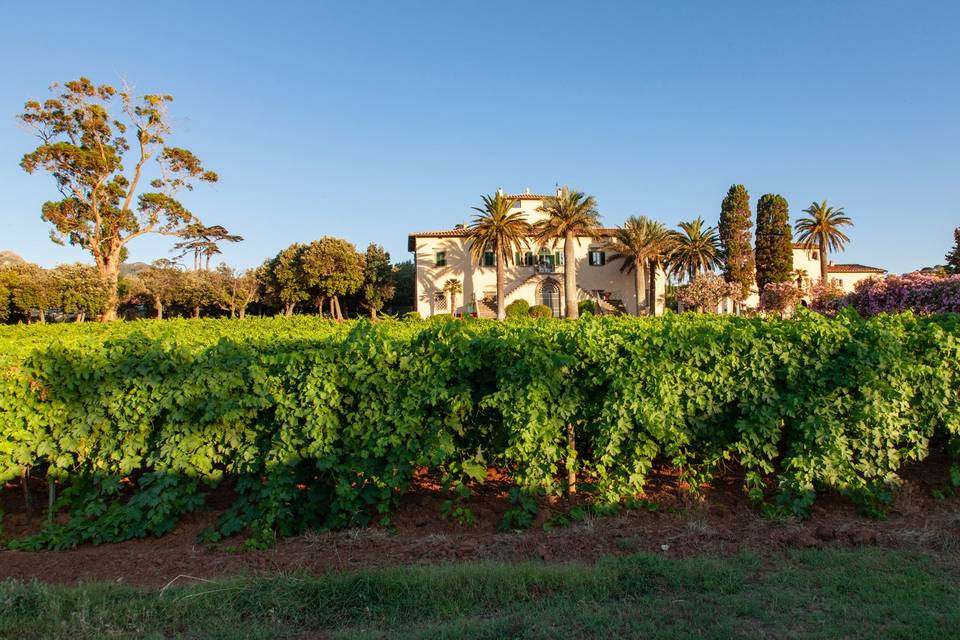 Tenuta la Chiusa