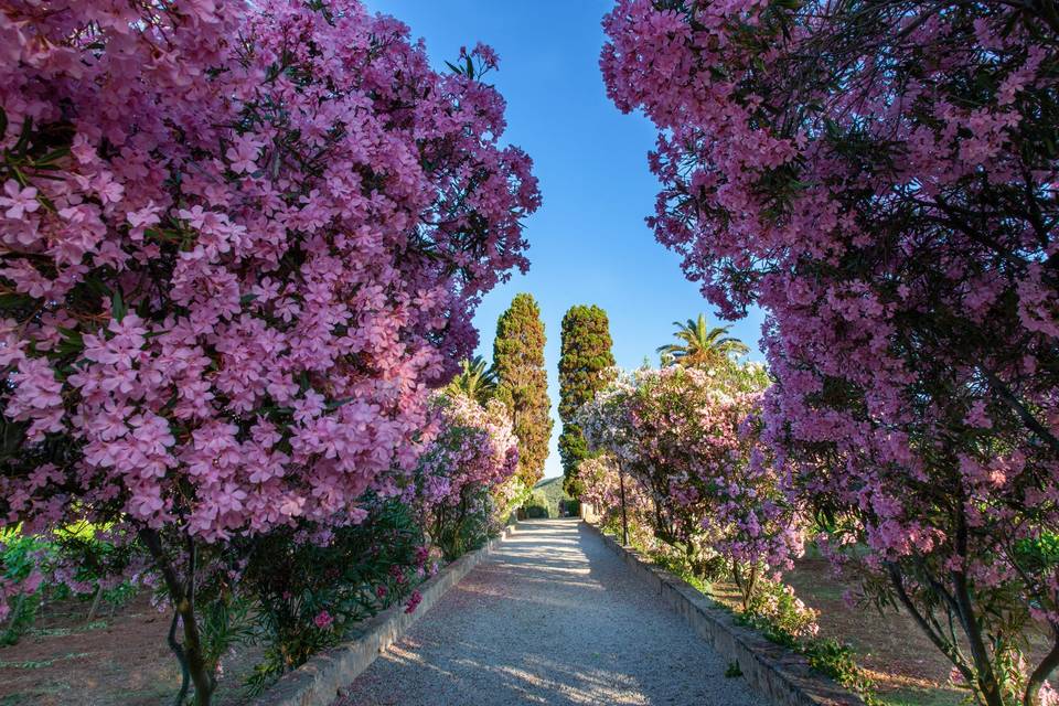 Tenuta la Chiusa