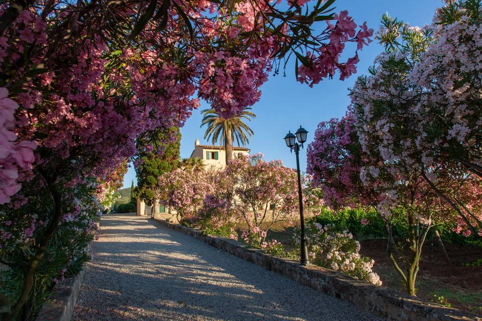 Tenuta la Chiusa