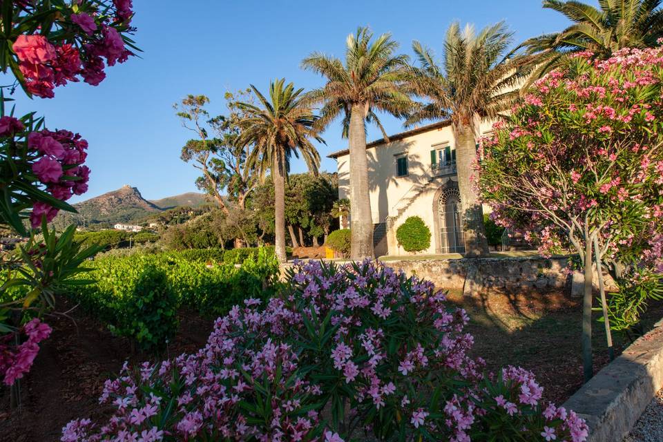 Tenuta la Chiusa