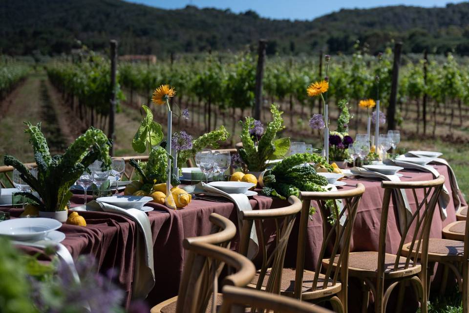 Tenuta la Chiusa