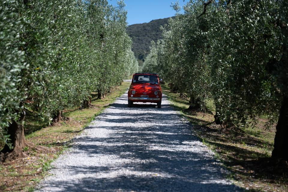Tenuta la Chiusa