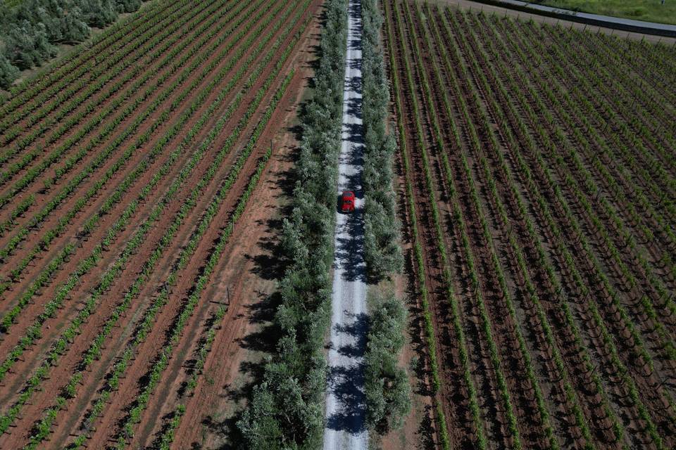 Tenuta la Chiusa