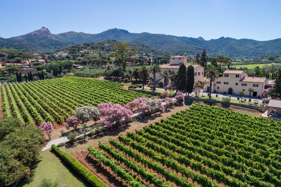 Tenuta la Chiusa