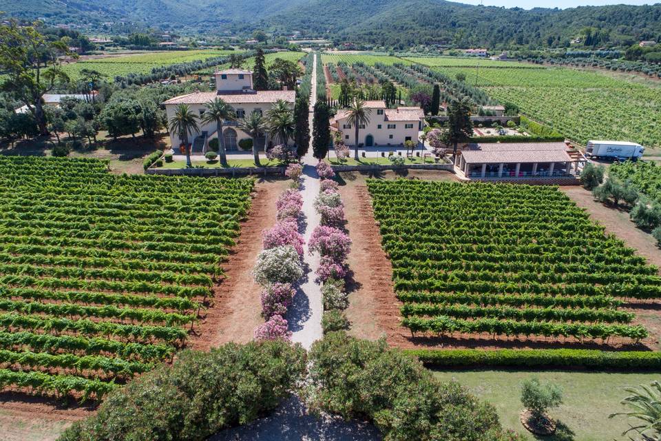 Tenuta la Chiusa