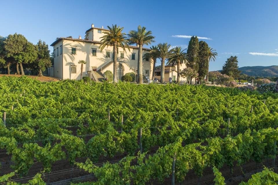 Tenuta la Chiusa