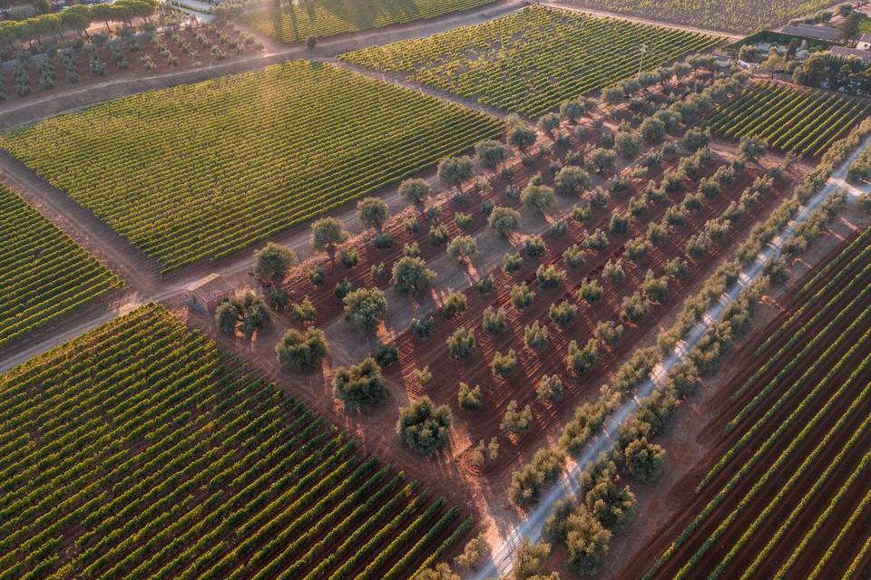 Tenuta la Chiusa