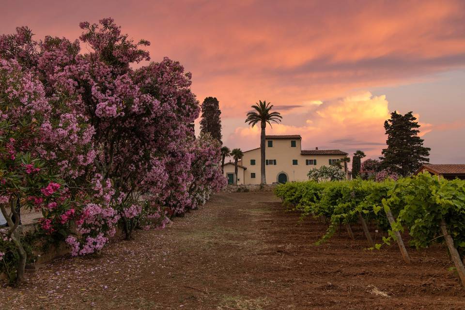 Tenuta la Chiusa