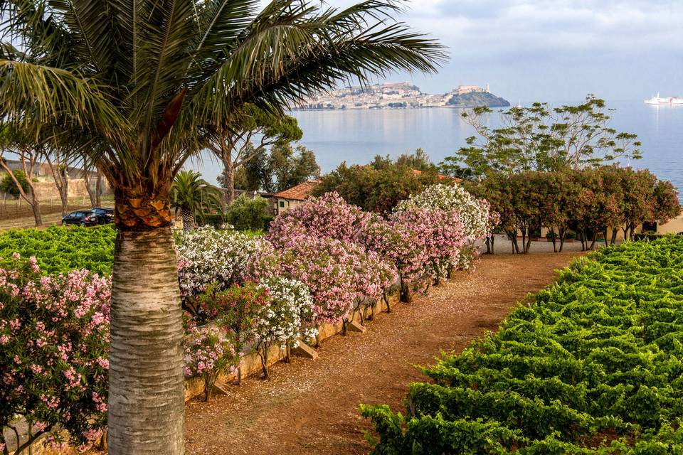 Tenuta la Chiusa