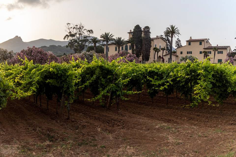 Tenuta la Chiusa